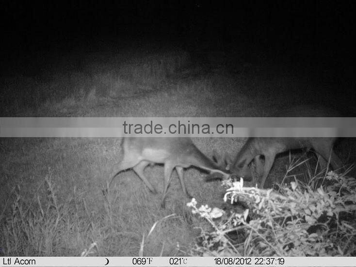 LTL Acorn 5210A 850nm clear night vision 12MP Scouting Hunting Game IR Wildlife Trail Surveillance Camera