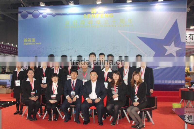 Fiber laser cutting machine with high and stable function for eletrical appliances and decorations