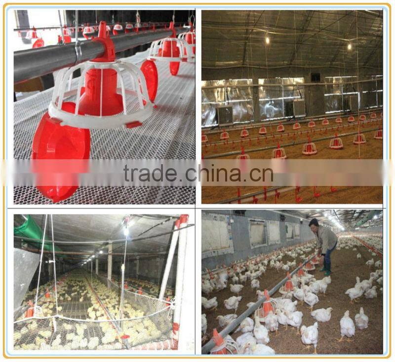 CE approved Full automatic poultry equipments for broiler