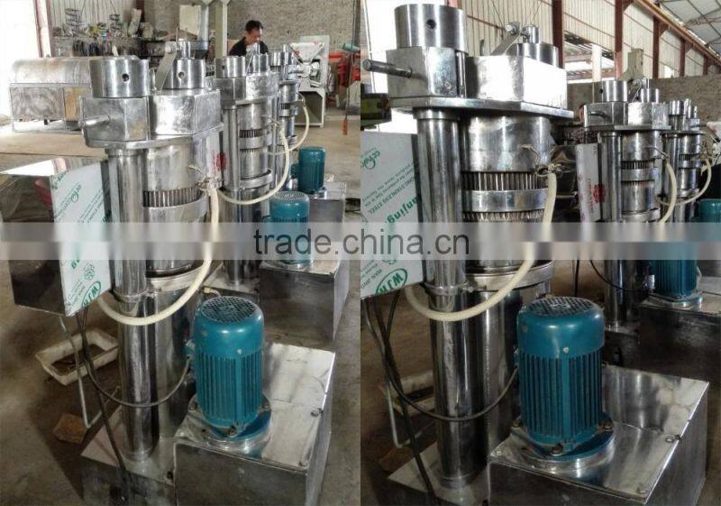 Cocoa bean oil press