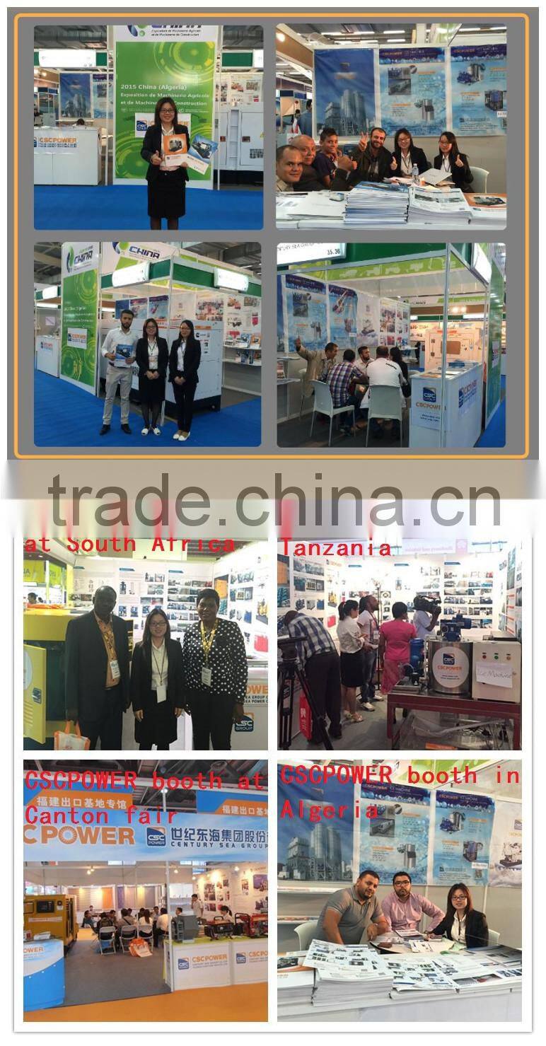 SIW400 flake ice cooling concrete system industrial weighing device
