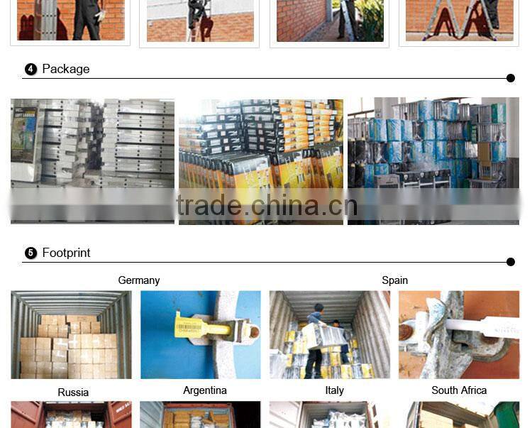 Little Giant agility ladder