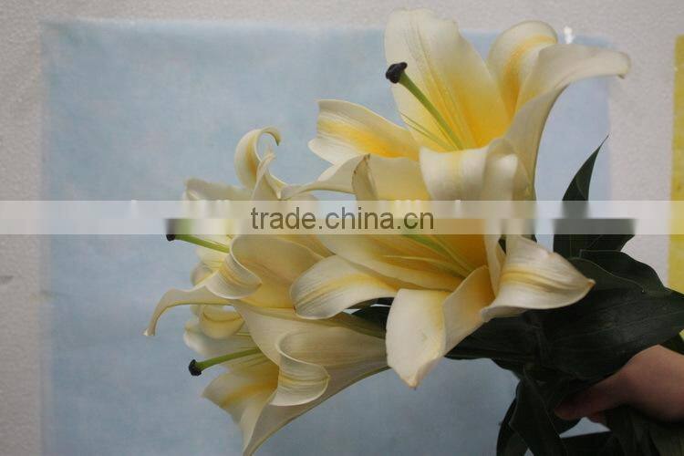Alibaba china fresh cut flower lily promotional lili and rose flower