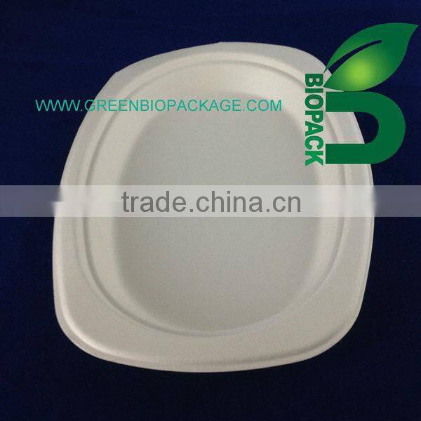 a Biodegradable Disposable Sugarcane Bagasse Ellipse Plate