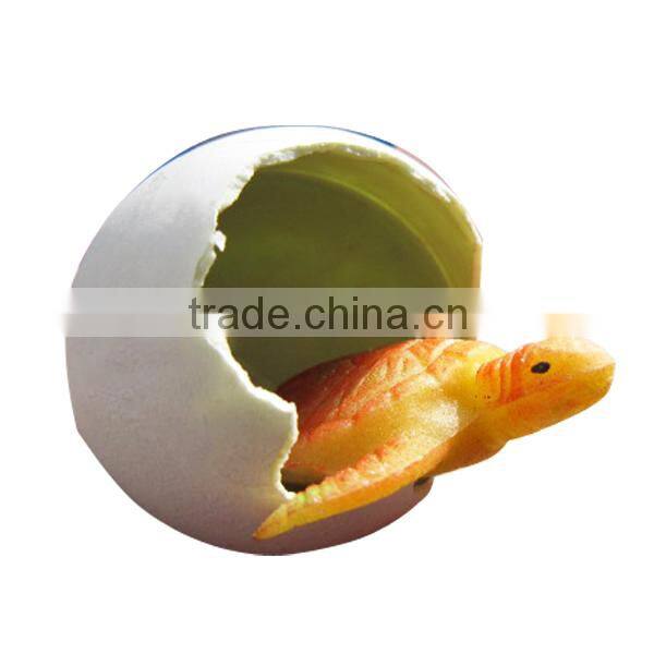 magic growing tortoise eggs expand in water