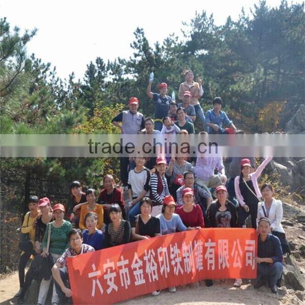 Customized Toy Metal Candy gift can