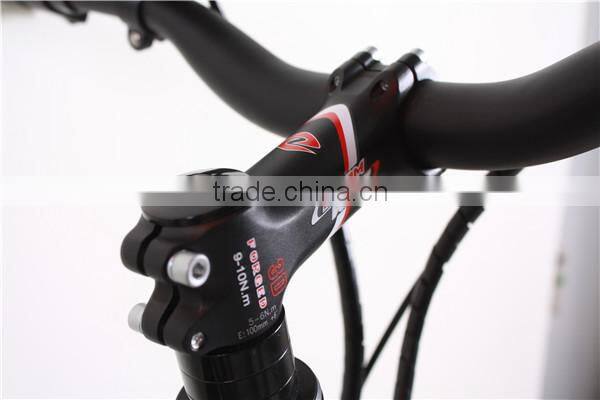 2014 new models with SGS Certification with 250w 36v 10ah mountain electric bicycle for Europe market