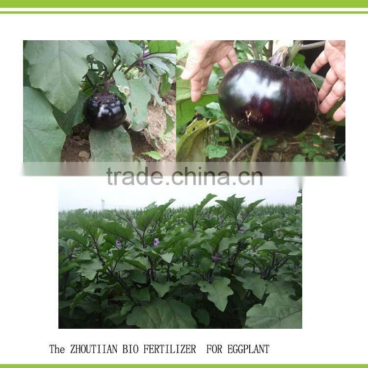 liquid bio organic humate acid foliar fertilizer with trance element and organic matter