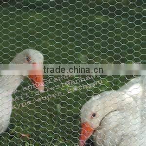 hexagonal wire mesh galvanized(lowest price)