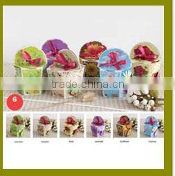 Specialized boxes for gifts DIY mini bonsai promotional gifts for teenagers , corporate anniversary gifts