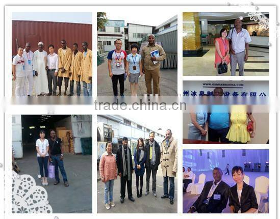 Easy installation Flake ice machines with best services