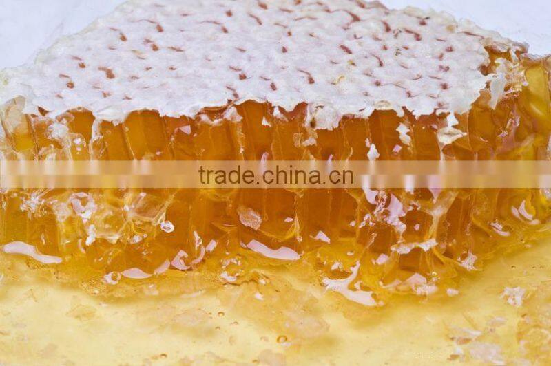 Chinese bulk honey/wild honey