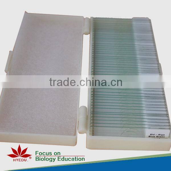 50pcs human and animal parasitology slides set