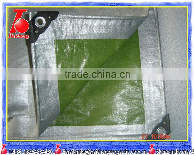 waterproof canvas fabric,Truck Bed Tarp,pe plastic drop sheet,Ground sheet cover