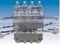 plastic extrusion blow molding machine(SPB-1L2JD)