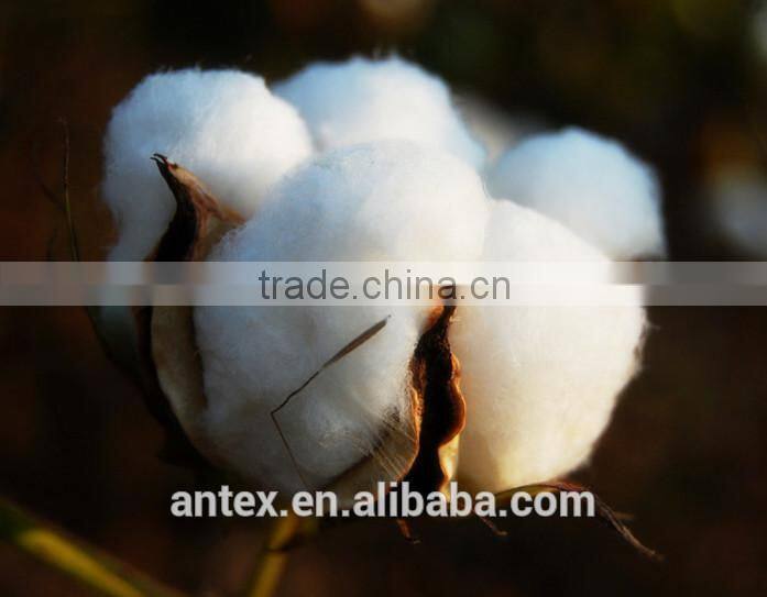 100% polyester fiber BALL Hollow Fiber
