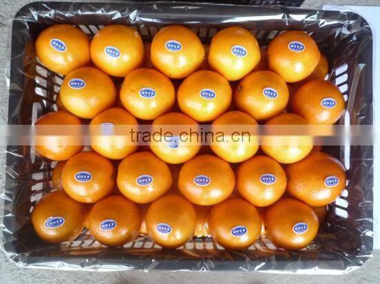 2015 fresh navel orange from jiangxi on sell