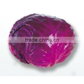 Price For Red Cabbage/fresh Cabbage/Chinese Red Cabbage For Hot Selling