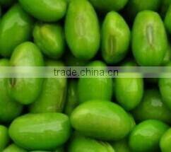 Hot sale IQF frozen green soybean kernels