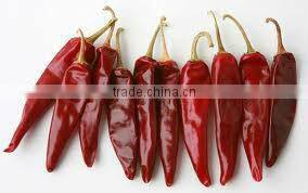 INDIAN DRY CHILI POWDER