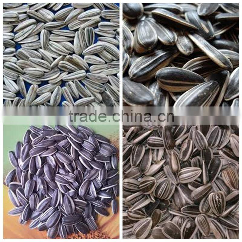 Organic sunflower seeds 5009 sunflower seeds white sunflower seeds