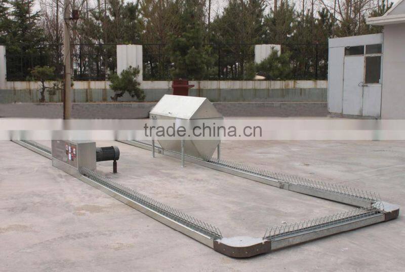 Goldenest automatic poultry equipment chains feeding system