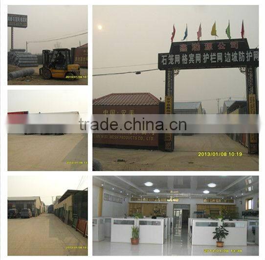 Hot-dipped Galvanized wire rope mesh/SNS protective mesh