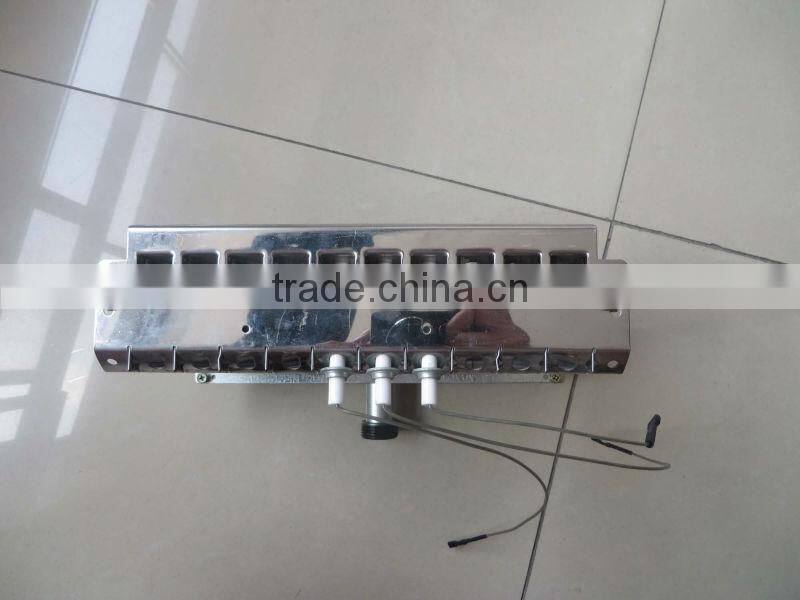 Pulse Ignitor of gas boiler