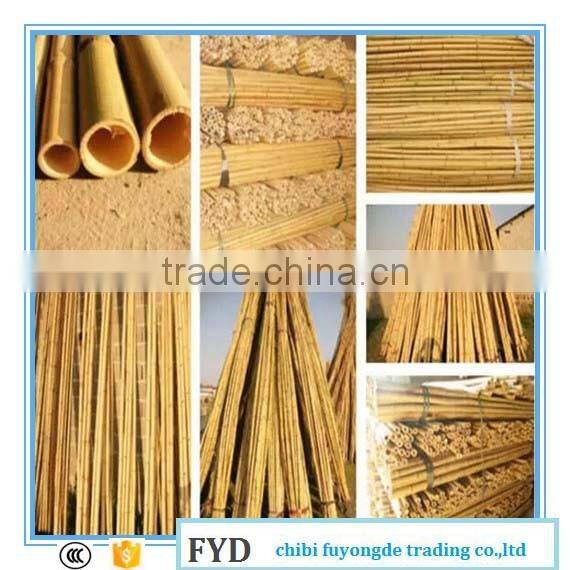 Hot sale bamboo poles /bamboo canes with low price