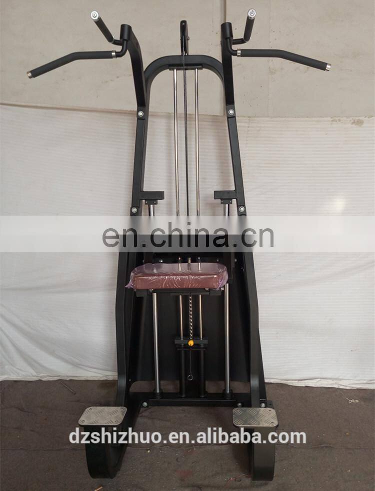 DiP/Chin Assist machine SP08