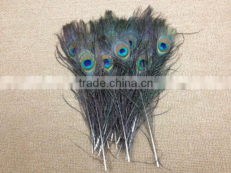 12-13"/30-35cm length Peacock Sword Feather Natural Green For Hats/Costume/Crafts