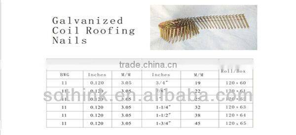 large head coil roofing nails with galvanized