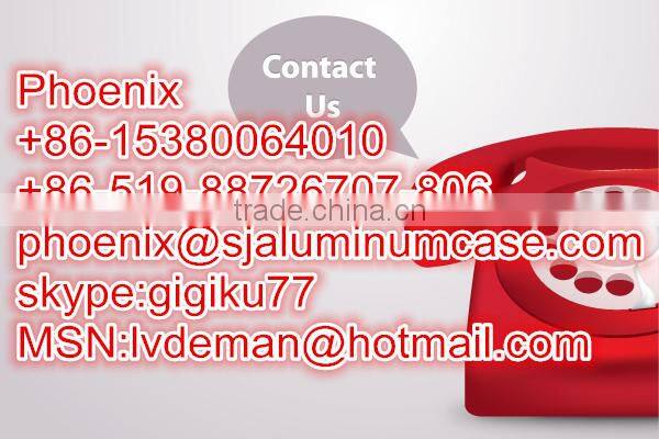 Aluminum Small Carrying Case