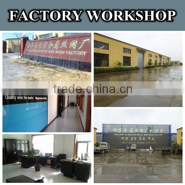 china factory green color 1/2 inch Vinyl Coated welded wire mesh