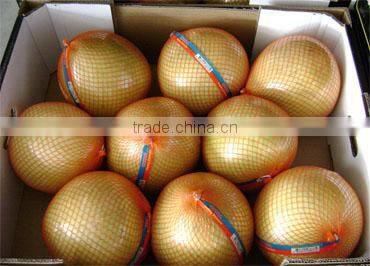 Honey pomelo supplier