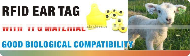 rfid tags for chicken