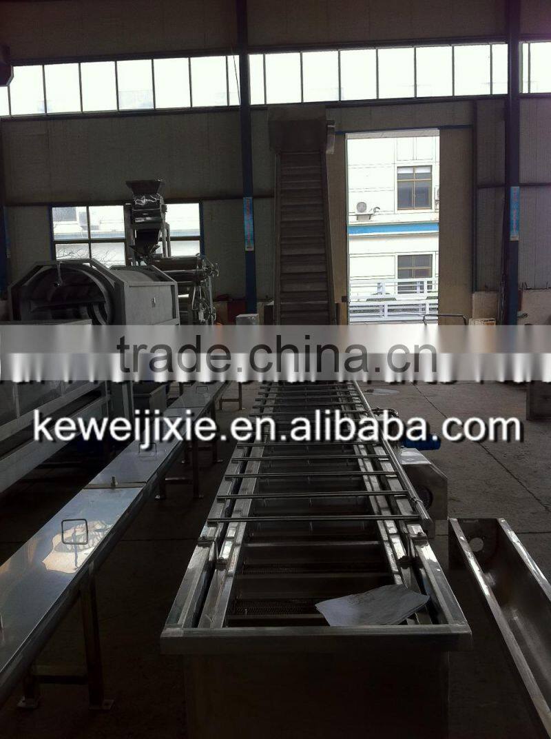 3 ton LXJ-3 Model showering (water bath) type berry fruit washer(Industrial berry fruits washer)