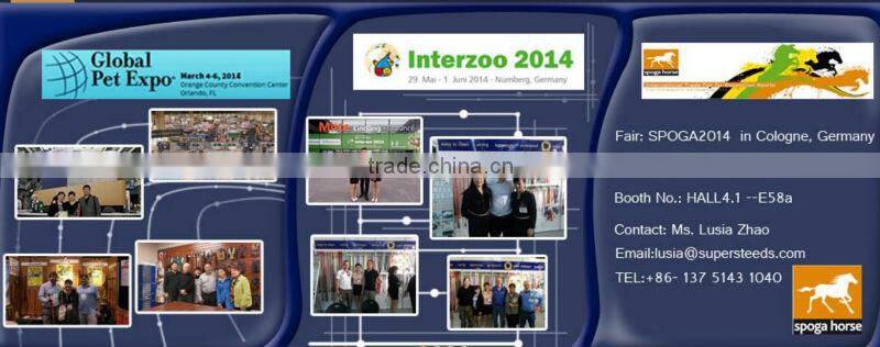 equestrian charm western bridles for sale