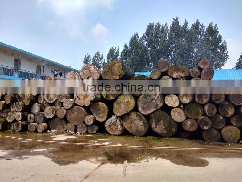 0.28mm bintangor veneer