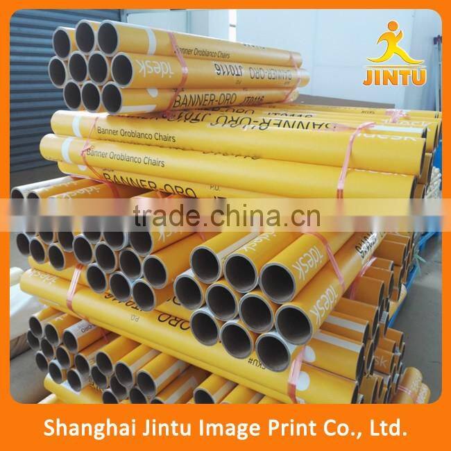 Full Color Image Indoor Paper Posters Print (JTAMY-2016030208)