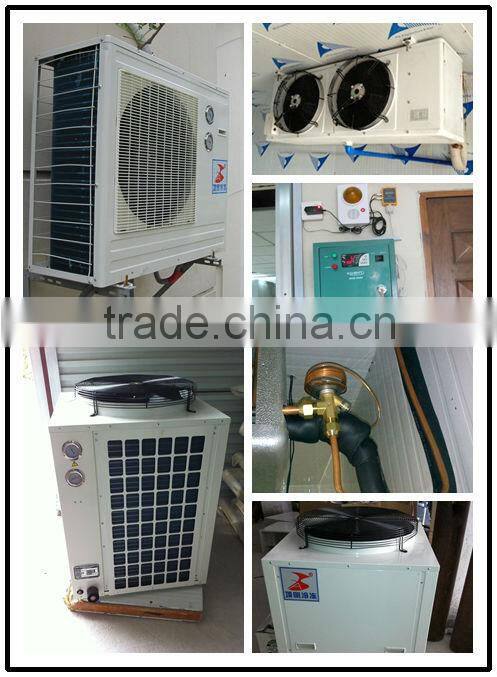 cold room storage room for meat/fish/vegetable can customize