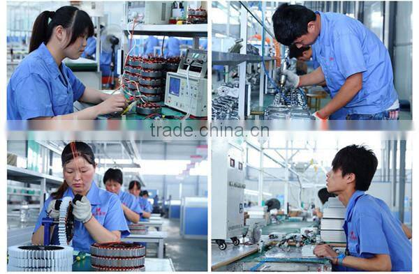 Romai CE TDR122Z electric bikes for sale with pedals