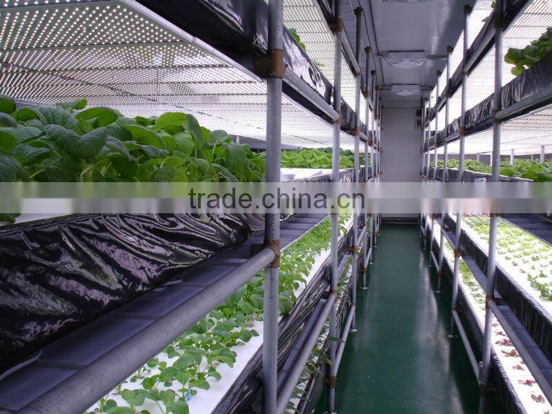 hydroponic NFT growing system greenhouse