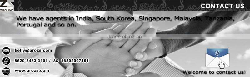 OEM C8 new product audio pa church speaker wholesale