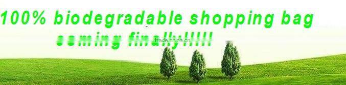 biodegradable mater bi bags for shopping