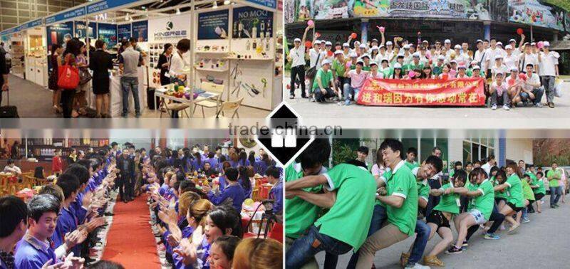 2015 Newest smart 2 wheel electric scooter