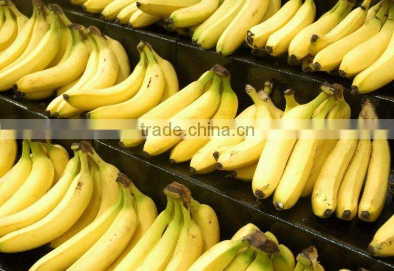 Banana Powder / Spray Dried Banana Powder / Powder of Banana