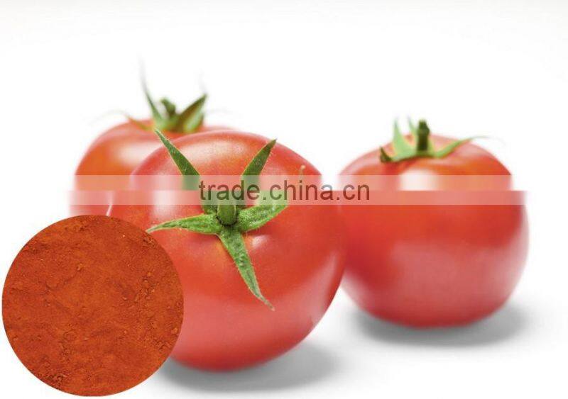 100% Natural fruit powder Tomato Extract Powder Lycopene Powder