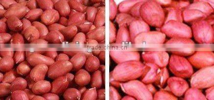 (nuts&kernels) china peanut kernel direct supplier (60/70)