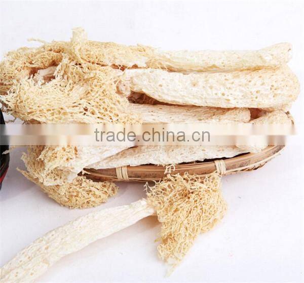 Chinese Mushroom Dried Cultivated Dictyophora